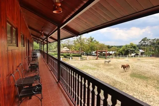 Panoramic Oda, Balkon, Bahçe Manzaralı (Paddock Chalet)