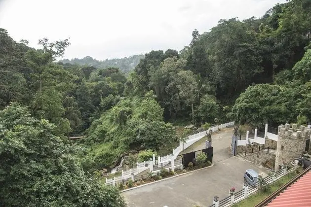 Deluxe Tek Büyük Yataklı Oda, 1 En Büyük (King) Boy Yatak, Sigara İçilmez