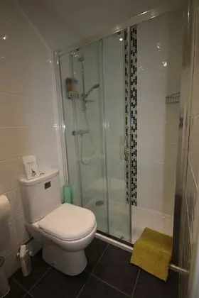 Standard Tek Büyük Yataklı Oda (5)