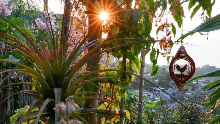 Traditional Stüdyo, 1 En Büyük (King) Boy Yatak, Balkon, Göl Manzaralı