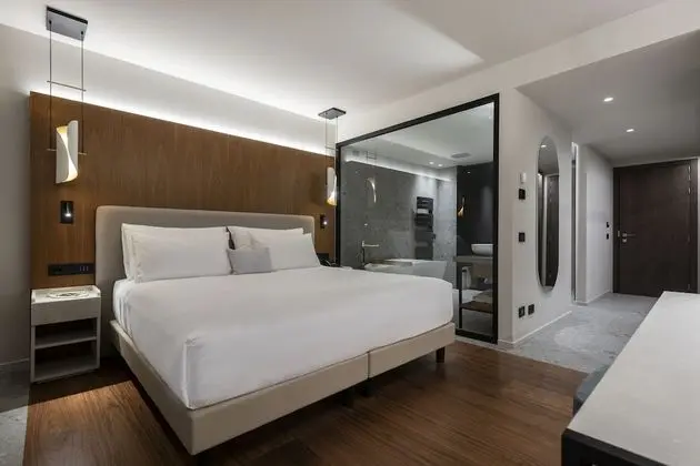 Junior Süit, Balkon, Göl Manzaralı (Albus)