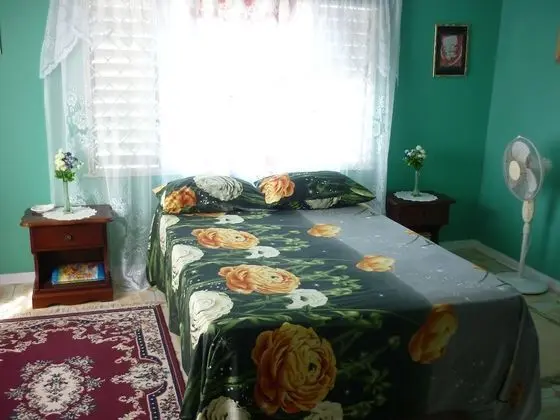 Traditional Oda, Sigara İçilmez, Bahçe Manzaralı
