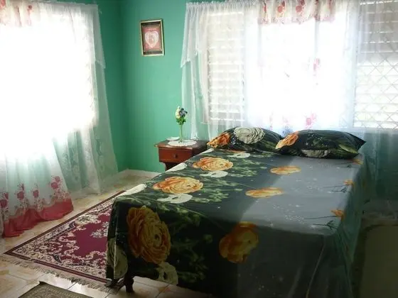 Traditional Oda, Sigara İçilmez, Bahçe Manzaralı