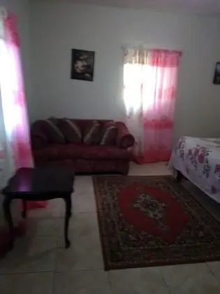 Traditional Oda, Sigara İçilmez, Bahçe Manzaralı