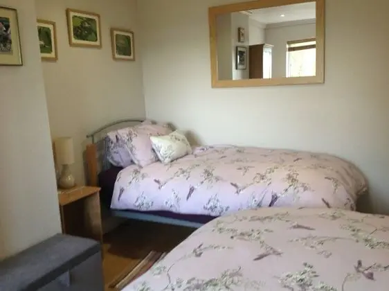 Deluxe İki Ayrı Yataklı Oda, Sigara İçilmez