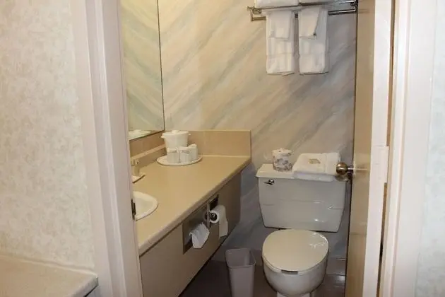 Standard Tek Büyük Yataklı Oda, 2 Çift Kişilik Yatak