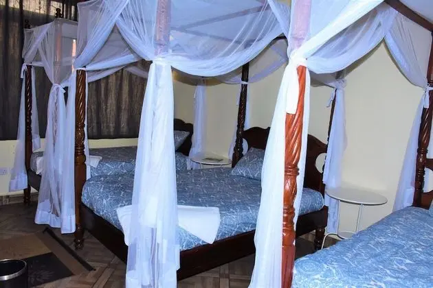 Deluxe Üç Kişilik Oda, 3 Tek Kişilik Yatak, Engellilere Uygun, Özel Banyo