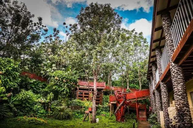 Tek Kişilik Oda