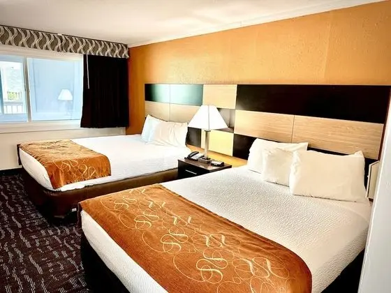 Standard Oda (2 Beds)