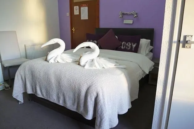 Deluxe Tek Büyük Yataklı Oda, Banyolu/Duşlu