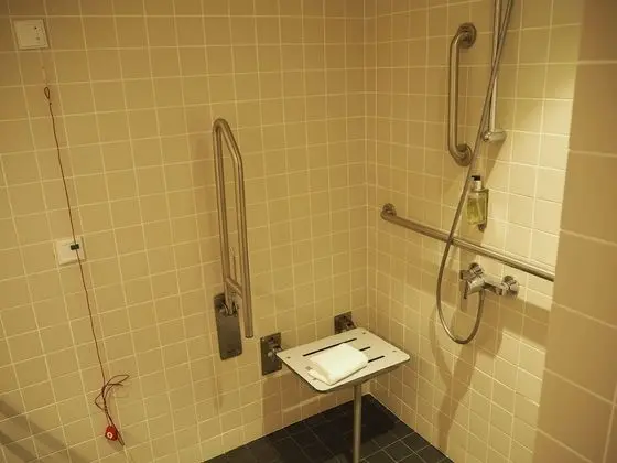 Standard Tek Büyük Yataklı Oda, 1 Çift Kişilik Yatak, Engellilere Uygun