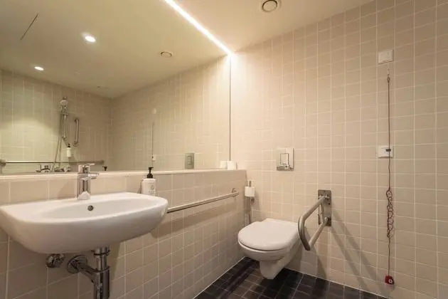 Standard Tek Büyük Yataklı Oda, 1 Çift Kişilik Yatak, Engellilere Uygun