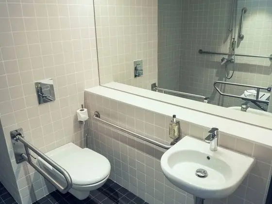 Standard Tek Büyük Yataklı Oda, 1 Çift Kişilik Yatak, Engellilere Uygun