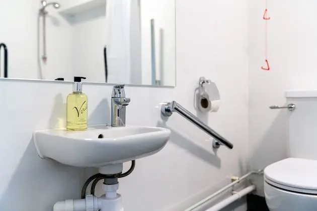 Standard Tek Büyük Yataklı Oda, 1 Çift Kişilik Yatak, Engellilere Uygun