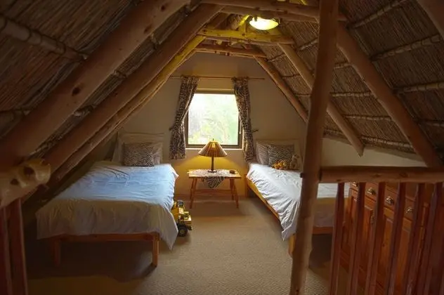 Buffalo Family Apartment