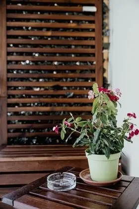 Comfort Üç Kişilik Oda, 1 En Büyük (King) Boy Yatak ve Çekyat, Balkon