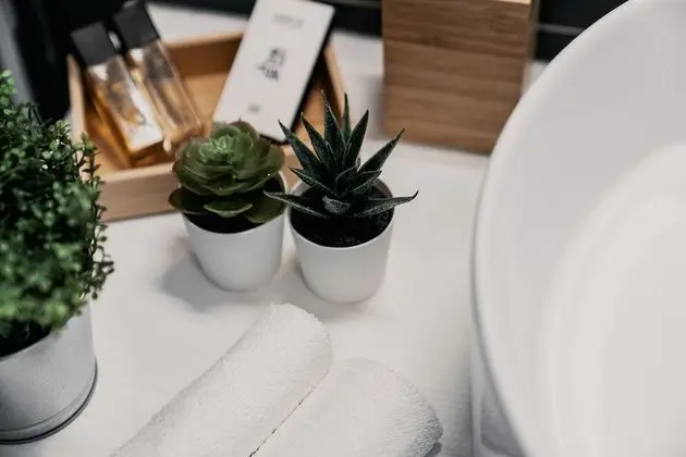 Deluxe Tek Büyük Yataklı Oda, 1 En Büyük (King) Boy Yatak, Balkon
