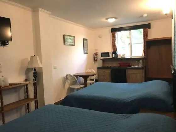 Standard Tek Büyük Yataklı Oda, 2 Çift Kişilik Yatak, Mutfak