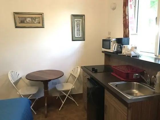 Standard Tek Büyük Yataklı Oda, 2 Çift Kişilik Yatak, Mutfak