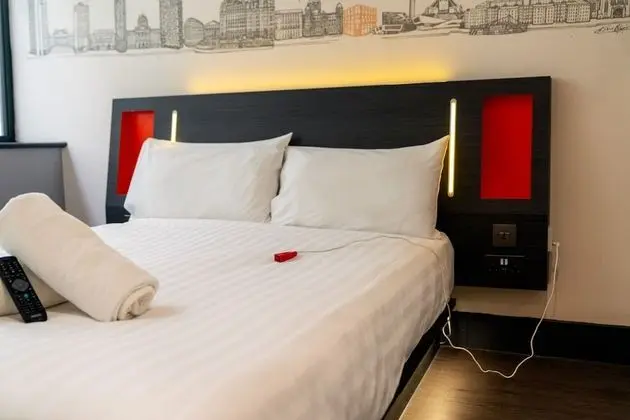 Standard Tek Büyük Yataklı Oda, 1 Çift Kişilik Yatak (Wheelchair Accessible)
