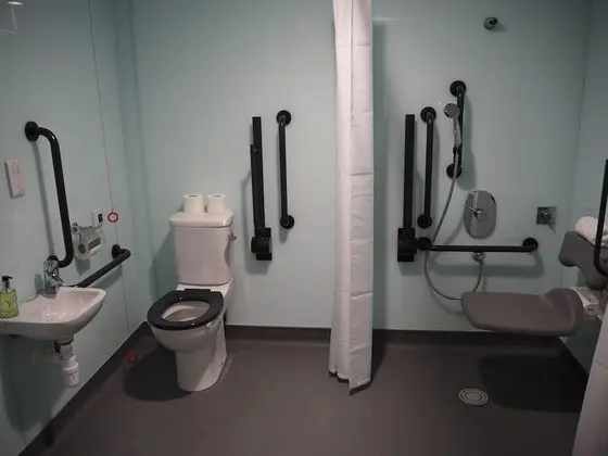 Standard Tek Büyük Yataklı Oda, 1 Çift Kişilik Yatak (Wheelchair Accessible)