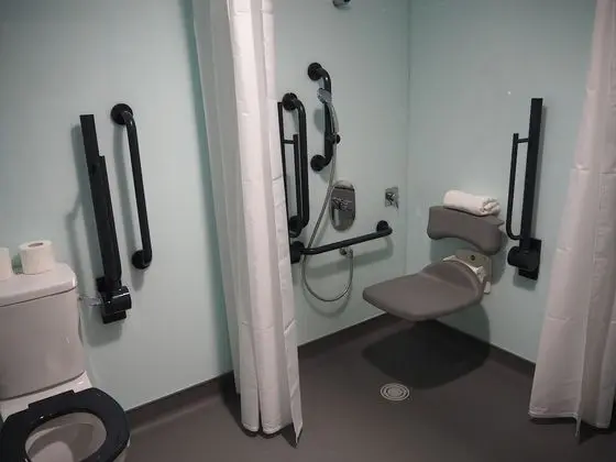 Standard Tek Büyük Yataklı Oda, 1 Çift Kişilik Yatak (Wheelchair Accessible)