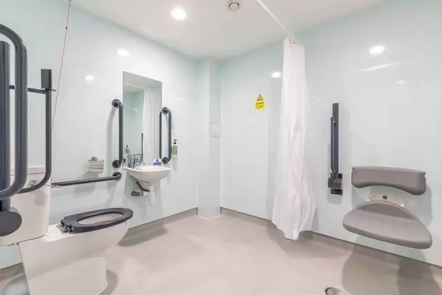Standard Tek Büyük Yataklı Oda, 1 Çift Kişilik Yatak (Wheelchair Accessible)
