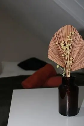 Junior Stüdyo, 1 Çift Kişilik Yatak