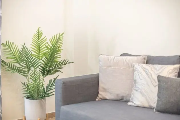 Comfort Apart Daire, 1 Yatak Odası, Sigara İçilmez, Mutfak