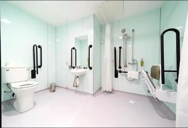 Basic Tek Büyük Yataklı Oda, Engellilere Uygun, Penceresiz