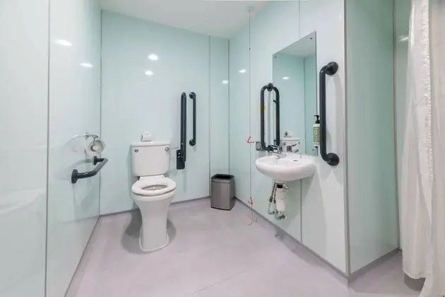 Standard Tek Büyük Yataklı Oda, 1 Çift Kişilik Yatak, Engellilere Uygun