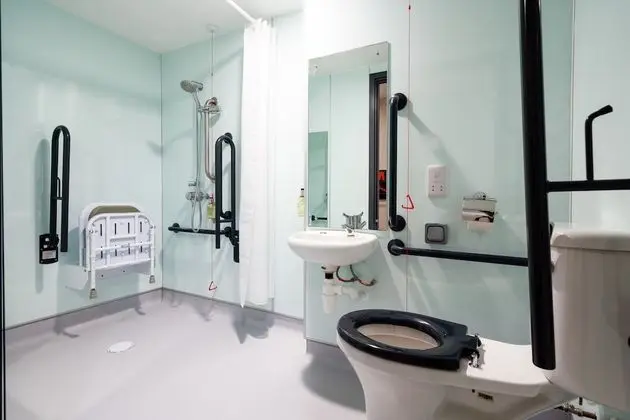 Standard Tek Büyük Yataklı Oda, 1 Çift Kişilik Yatak, Engellilere Uygun