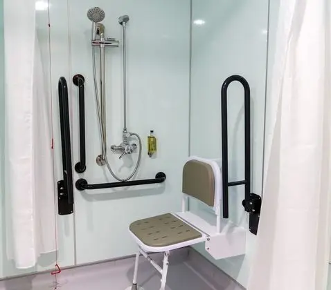 Standard Tek Büyük Yataklı Oda, 1 Çift Kişilik Yatak, Engellilere Uygun