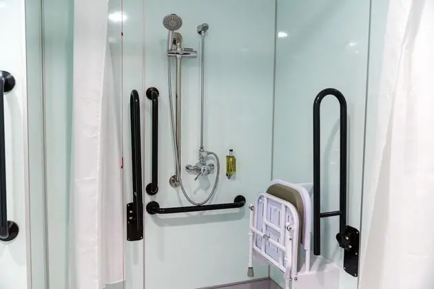 Standard Tek Büyük Yataklı Oda, 1 Çift Kişilik Yatak, Engellilere Uygun
