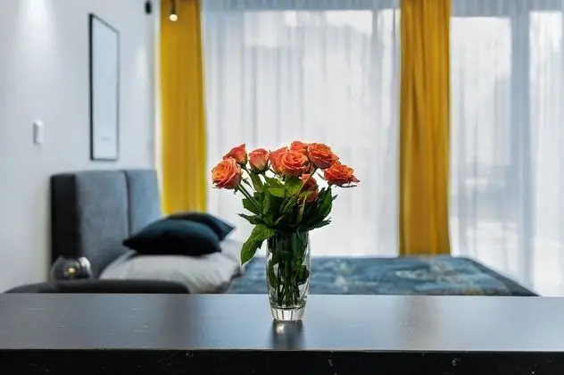 Design Stüdyo Süit