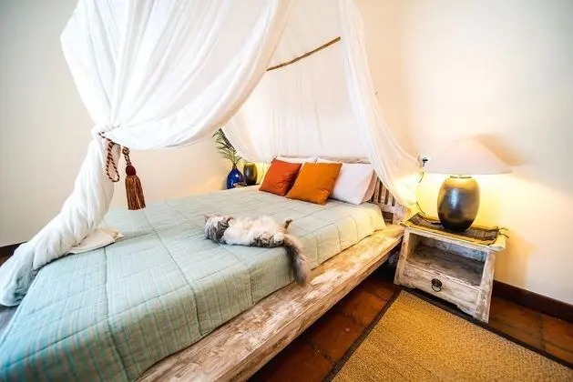 Comfort Stüdyo
