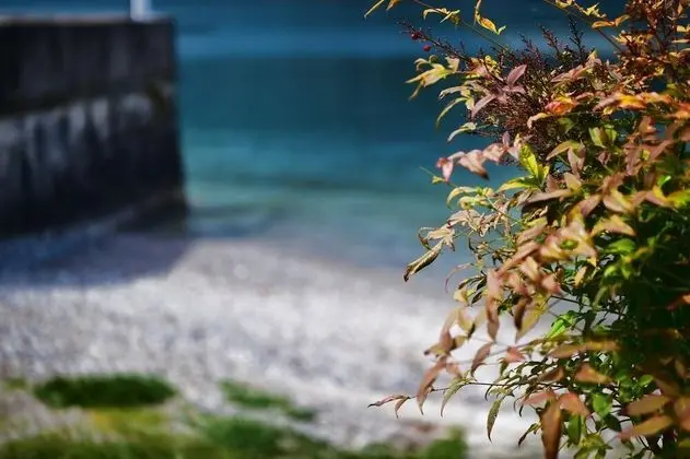 Ev, Sigara İçilebilir