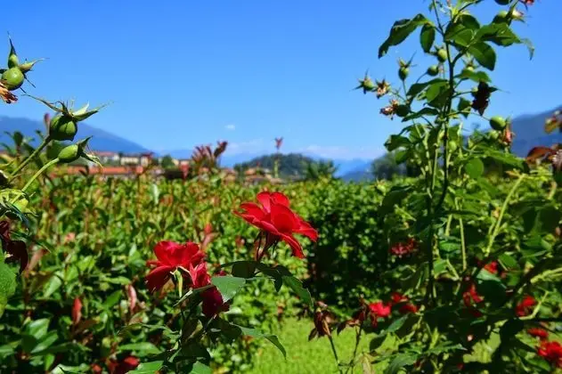 Apart Daire, Sigara İçilebilir