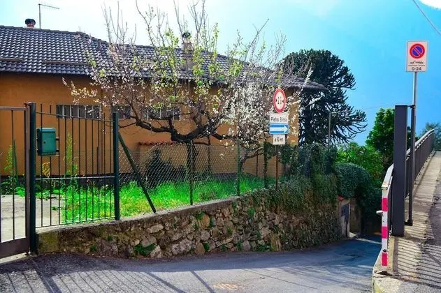 Apart Daire, Sigara İçilebilir