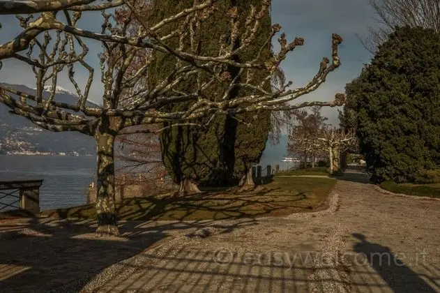 Apart Daire, Sigara İçilebilir