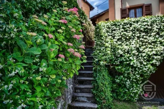 Villa, Sigara İçilebilir