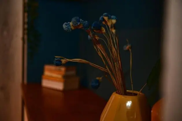 Apart Daire, Sigara İçilebilir