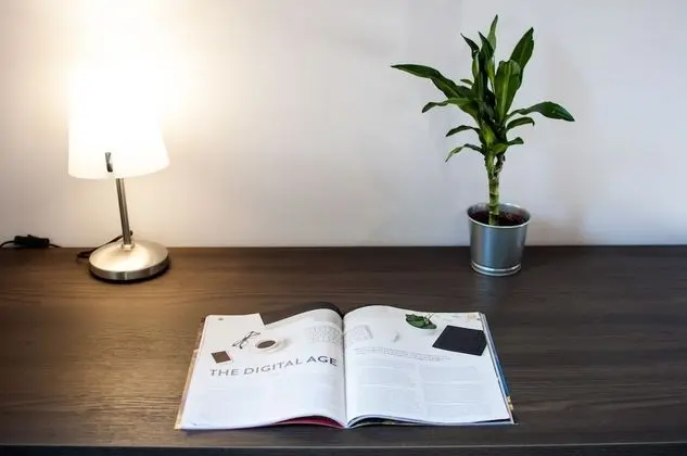 Standard Tek Büyük Yataklı Oda, 1 Büyük (Queen) Boy Yatak (Blu)