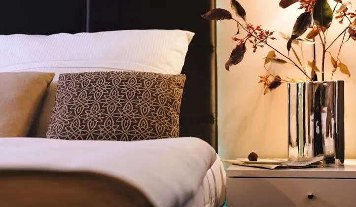 Superior Tek Büyük Yataklı Oda