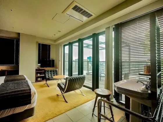 Çatı Katı Süiti (Penthouse)