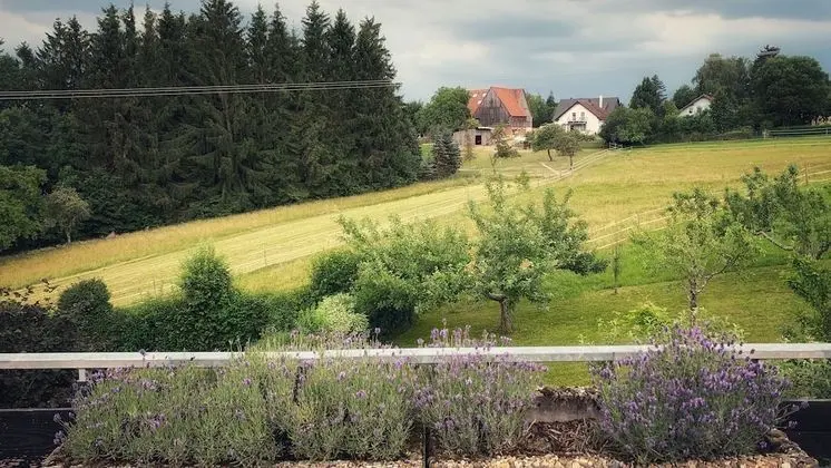 Business Apart Daire, Bahçe Manzaralı