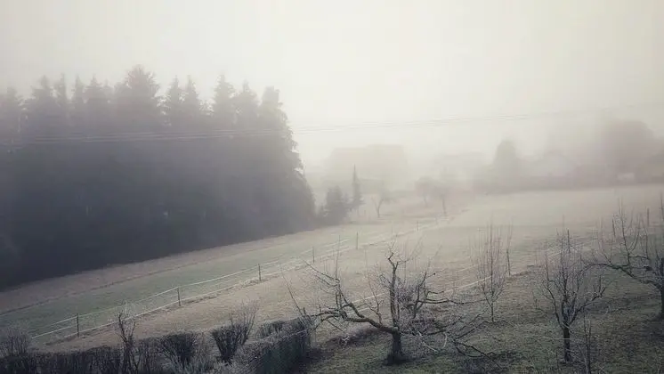 Business Apart Daire, Bahçe Manzaralı