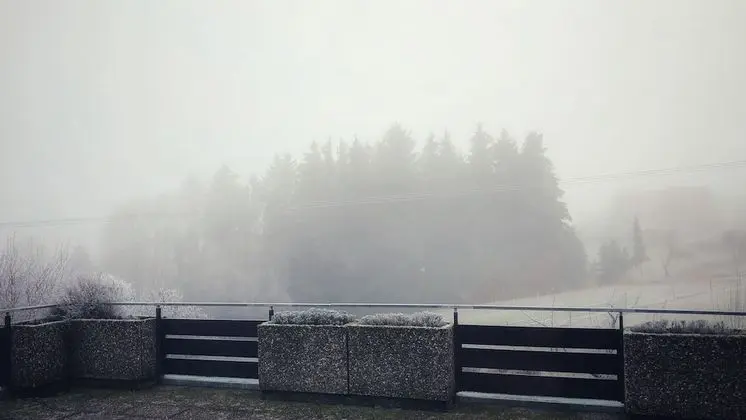 Business Apart Daire, Bahçe Manzaralı