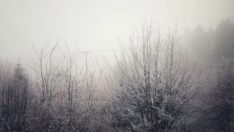 Business Apart Daire, Bahçe Manzaralı