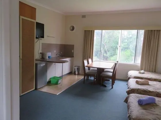 Family Oda, Sigara İçilmez, Küçük Mutfak (Large Family Room)